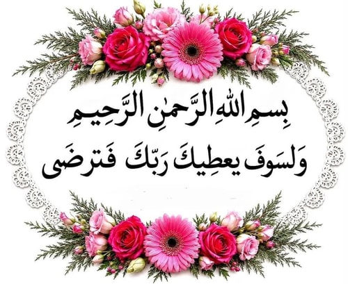 Hayder Abbas