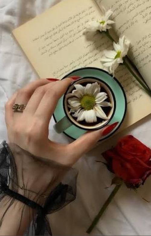 Bana Kirkuk