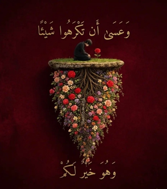 جابر حازم محمود جابر حازم